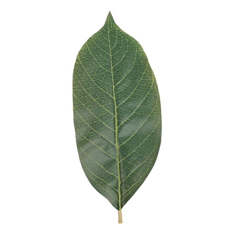 Home Decor Catalog - Kunstmatige groene Magnolia bladeren Pack 50