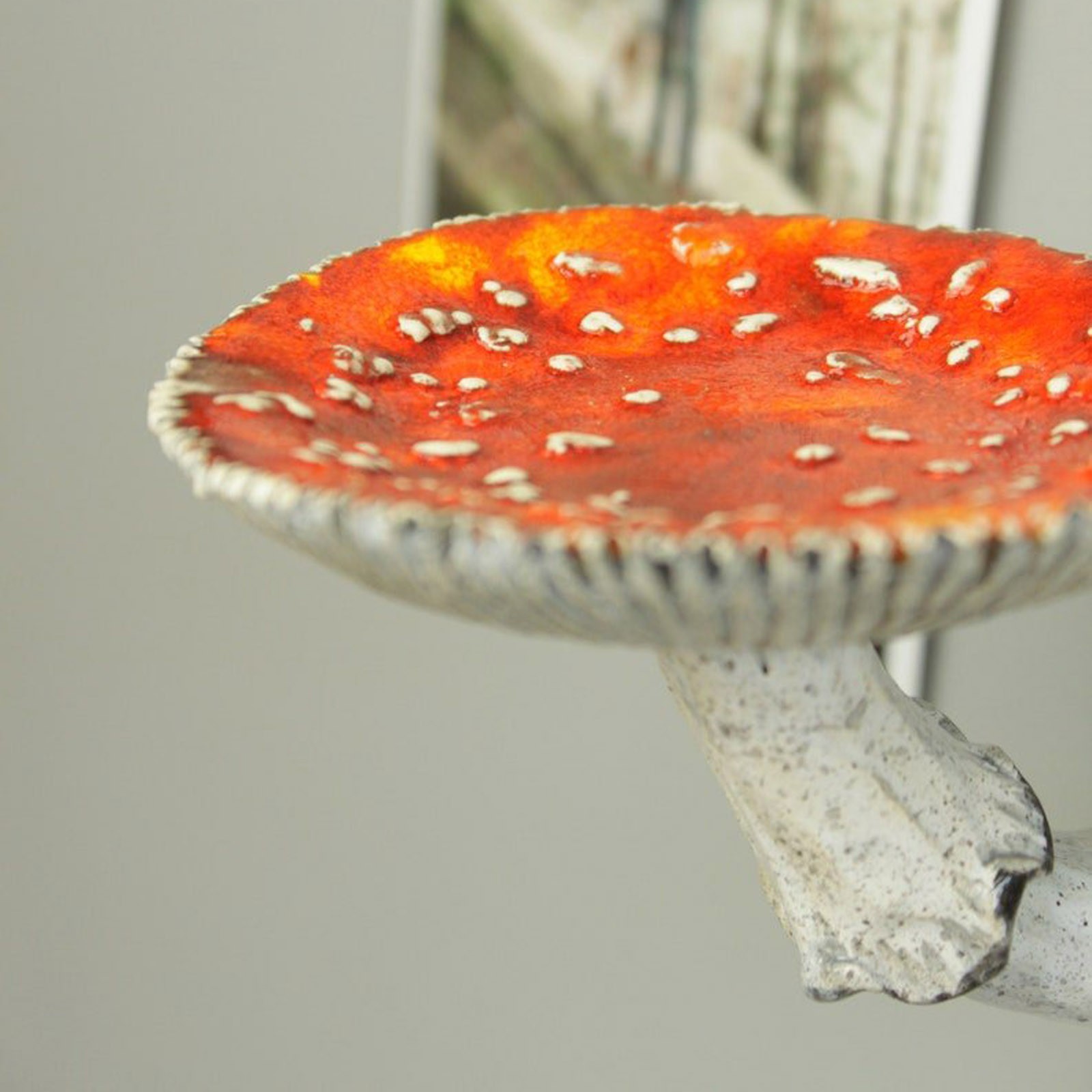 2024 Creatieve Hars Paddestoel - Floating Shelves recensie en prijs