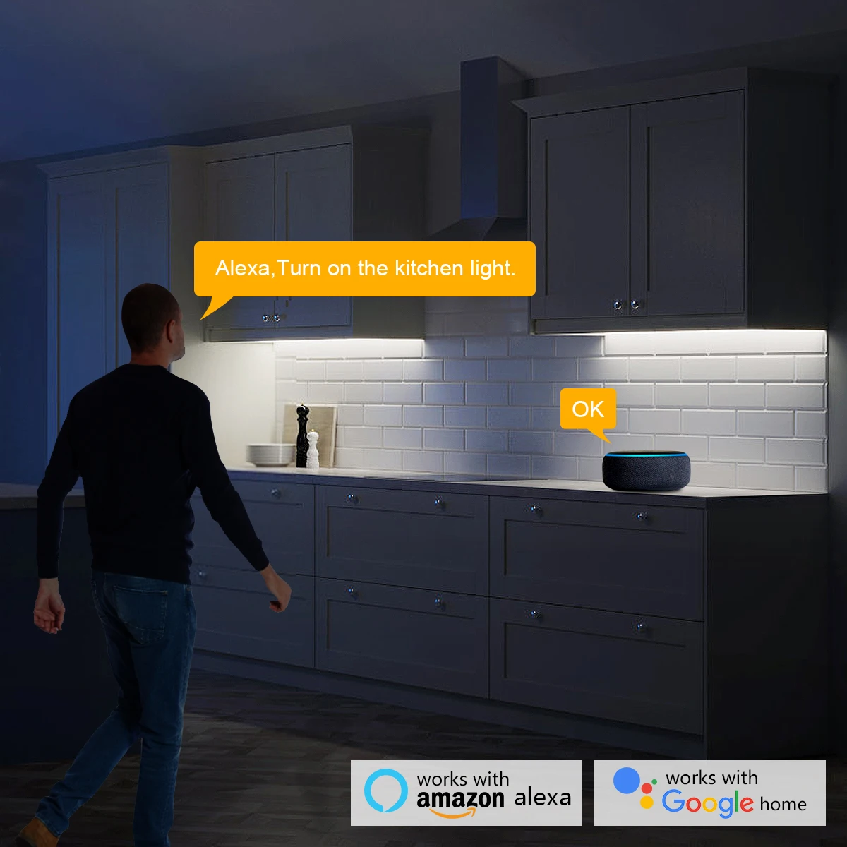 Smart Home Zigbee Tuya Spraakb - Home Decor App recensie en prijs