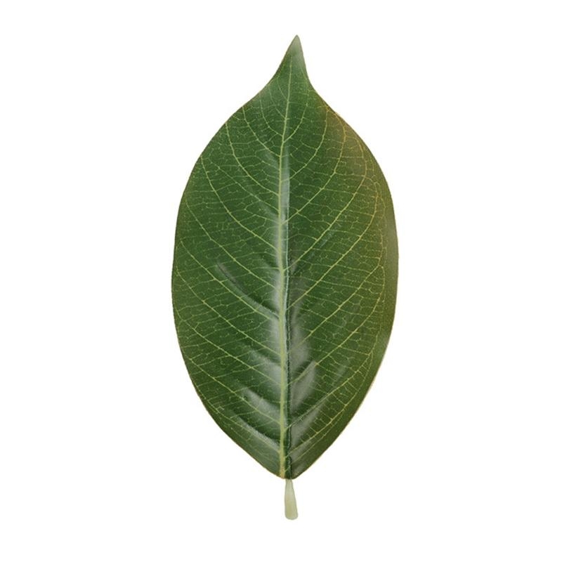 Kunstmatige groene Magnolia bl - Home Decor Catalog recensie en prijs