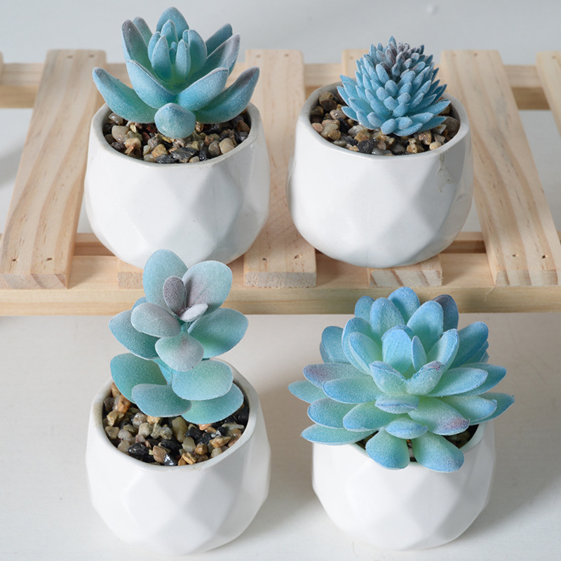 4pc Blauwe Massaal Simulatie V - Home Decor Simulator recensie en prijs