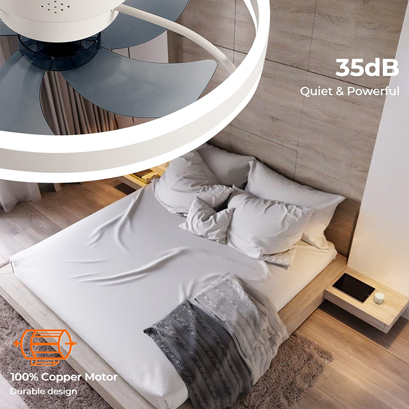 LED Plafondlamp Fan Met APP Af - Home Decor App recensie en prijs